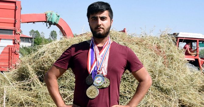 Şemdinlili Kara, Dünya Şampiyonu Oldu, Tarlada Ot Biçiyor