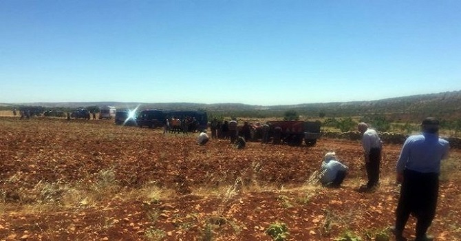Arazi tartışmasında ailesini katletti: 5 ölü