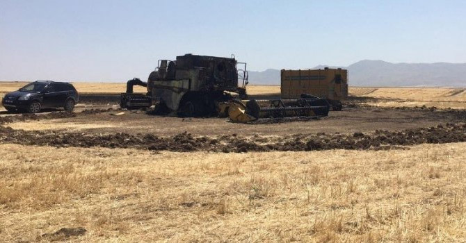 Van'daki yangında 20 dönümlük tarla kül oldu