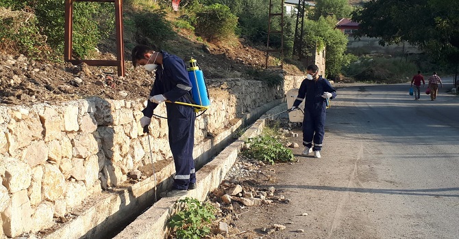 Çukurca Belediyesi haşere ve sineklere karşı ilaçlama çalışması yapıyor