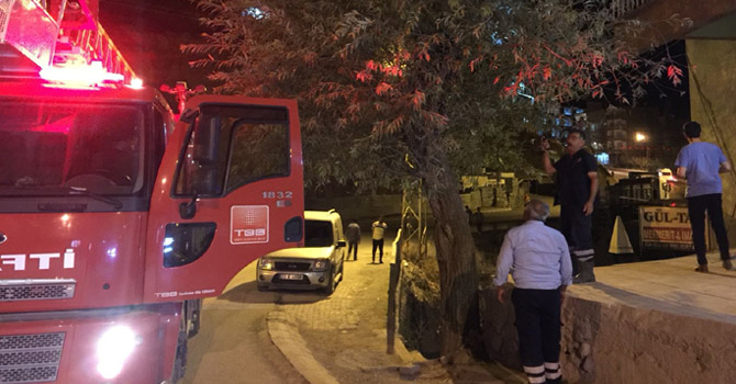 Hakkari'de ağaçta mahsur kalan kediyi itfaiye kurtardı