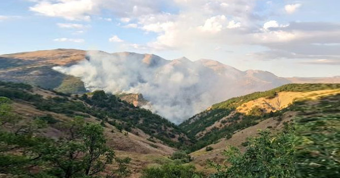 Tunceli'de orman yangınları kontrol altına alındı