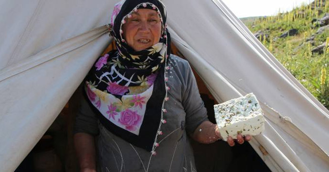 'Peynire yayladaki doğal otlar lezzet veriyor'