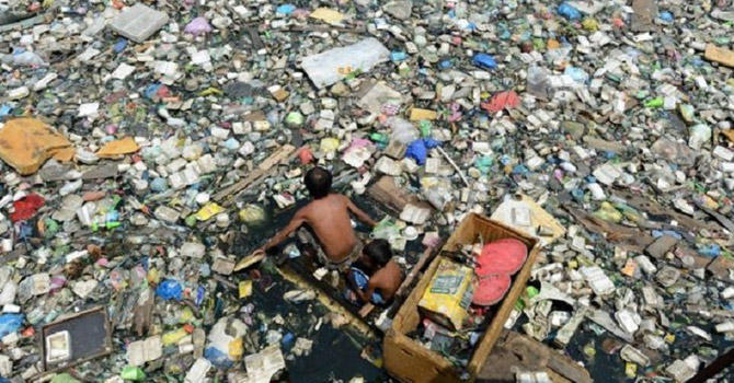 Plastik yiyen mantar keşfedildi