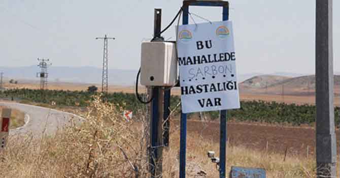 Diyarbakır'daki sağlık örgütlerinden şarbon uyarısı