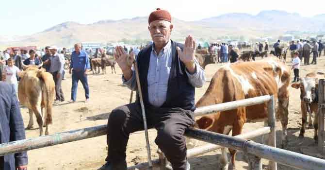 Yem ve kepek zamları besicileri zora soktu