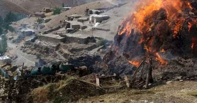 Başkale’de 4 bin bağ ot kül oldu