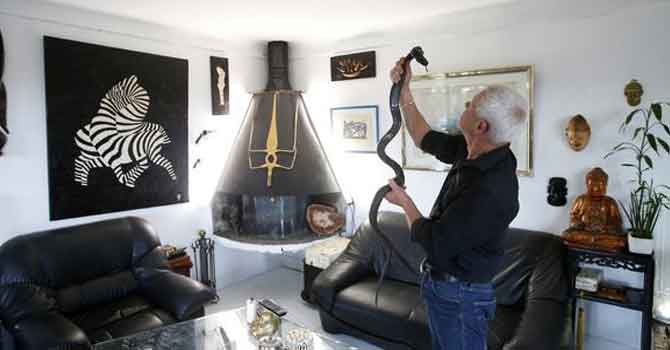 Evinde 400 sürüngenle birlikte yaşıyor