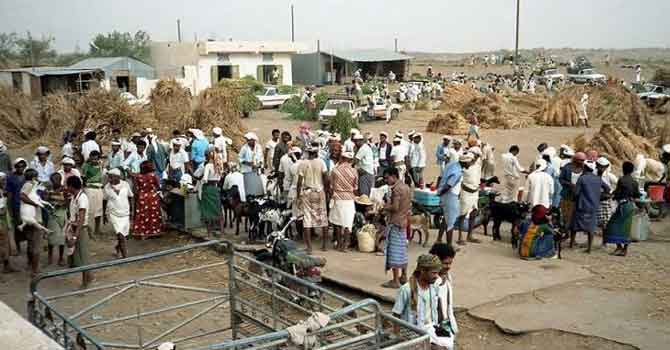 Yemen'de kıtlık baş gösterdi: Ot yemeye başladılar