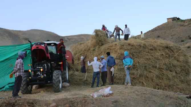 Hakkari'de vatandaşların kış hazırlıkları başladı!