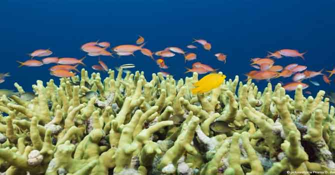 Uzmanlardan küresel ısınma  uyarısı