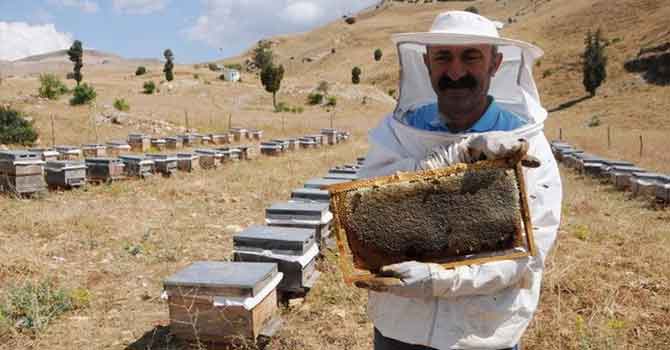 Maçoğlu: Modelimiz Ovacık’la sınırlı kalmayacak