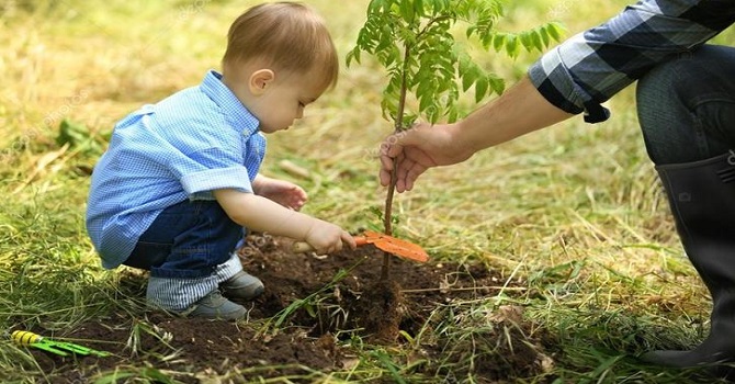 Ağaçları kıralım! Abdurrahman Aşkan yazdı...