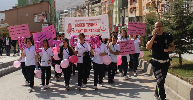 Hakkari'de Meme Kanseri Farkındalık Yürüyüşü Düzenlendi