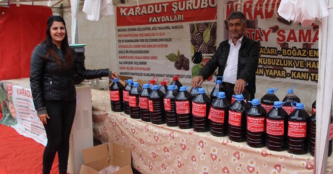 Yüksekova'da yöresel ürünler fuarı açıldı