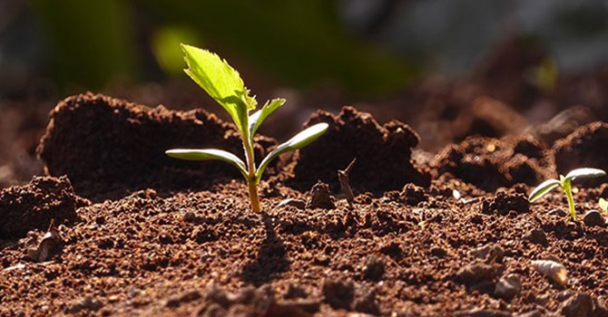 TEMA Vakfı’ndan erozyonla mücadele çağrısı
