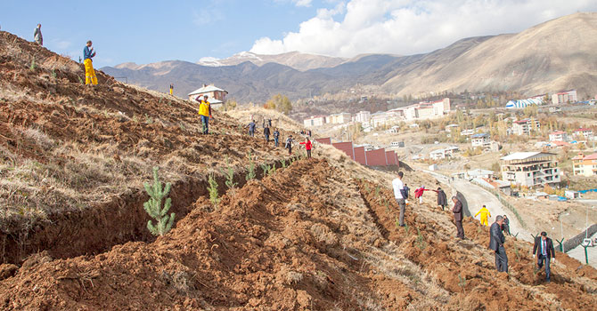 Hakkari Üniversitesi Sosyal  tesisleri ağaçlandırıldı