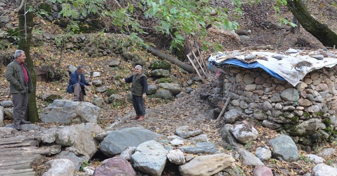 Yüksekova'da 100 yıllık değirmen ile mısır öğütüyor