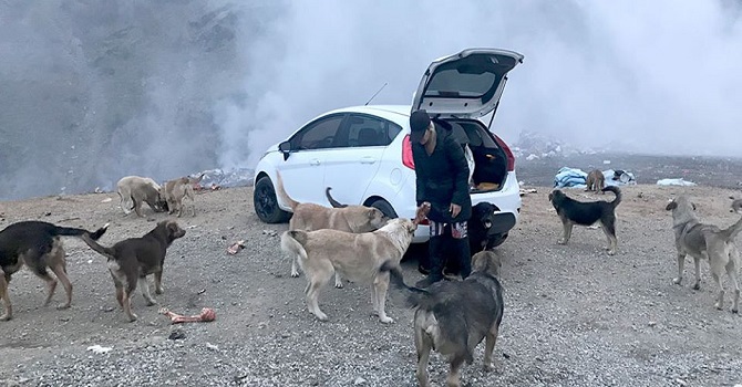 Eda Öğretmen, Şemdinlili Çocuklar ve Sokak Köpekleri İçin Çabalıyor