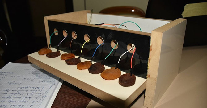 Malatya'da kayısıdan piyano yaptılar