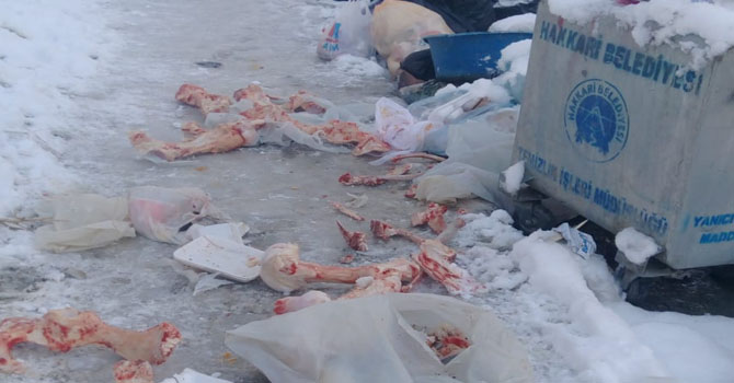 Hakkari’de toplanmayan Çöp tepkilere neden oldu