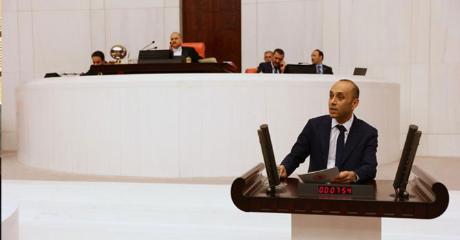 HDP'li Dede: Ekonomik krizin sorumlusu iktidardır VİDEO