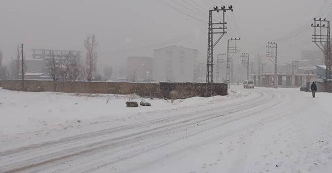 Yüksekova'da okullar tatil edildi!