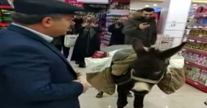 Poşet parası vermemek için markete eşekle geldi VİDEO