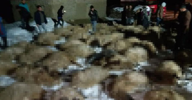 Van'da ahır çöktü, 75 küçükbaş hayvan telef oldu