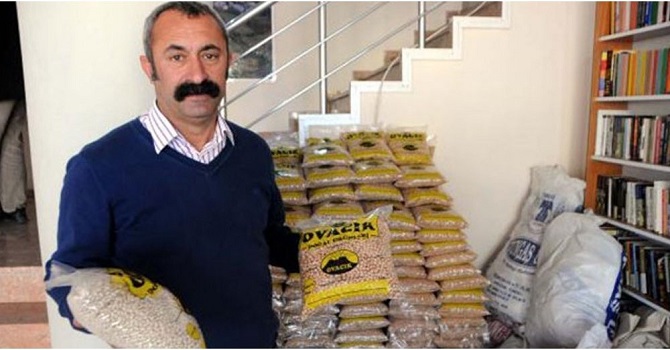 Fatih Mehmet Maçoğlu, Dersim Belediye Başkan Adayı oldu