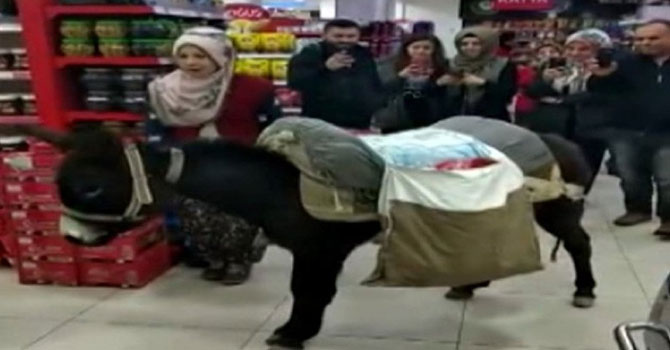 Eşekle poşet ücreti protestosu'na soruşturma