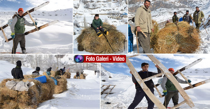 Hakkari'de vatandaşların ot taşıma çilesi!