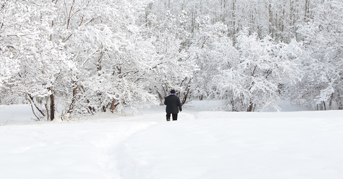 Tek Başına Yürüyen: Bilge Yürekler Ustası