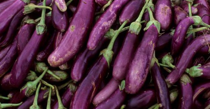 Süpermarketler patlıcan ve biber satmama kararı aldı