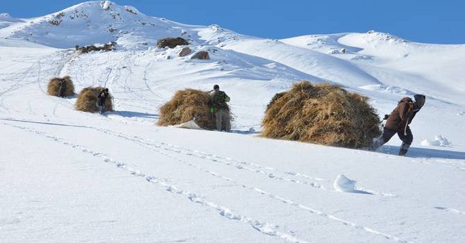 Yüksekovalı besicilerin kış çilesi