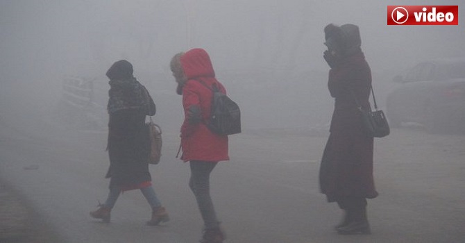 Yüksekova'da yoğun sis