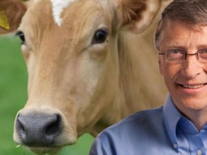 Dünyanın en zengin isminden inek uyarısı!