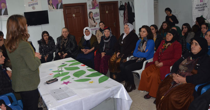 HDP Çukurca’da kadınlar günü paneli düzenledi