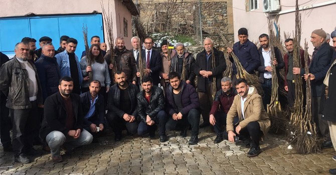 Çiftçilere 10 bin adet ücretsiz meyve fidanı dağıtımı yapıldı
