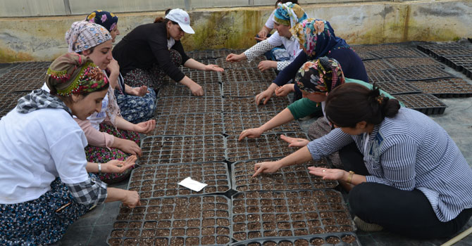 Hakkarili kadın çiftçiler toprağa hayat veriyor