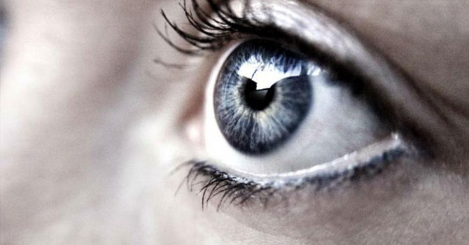 Kaşıntı sebebiyle doktora gitti, gözünden 4 tane arı çıktı