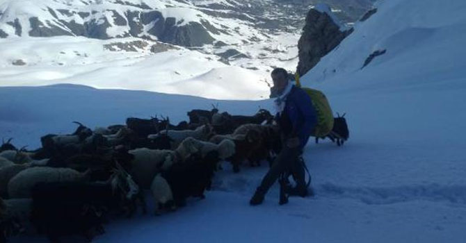 Hakkari'de besicilerin karda zorlu yolculuğu