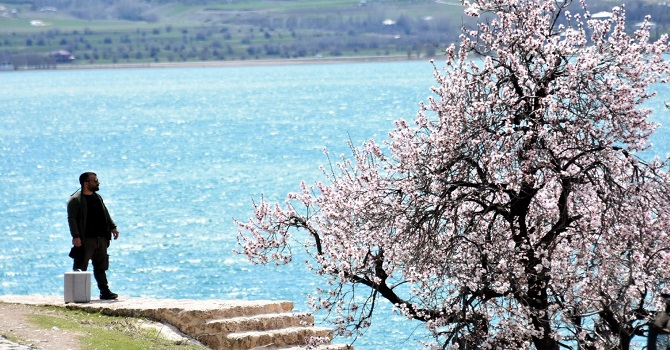 Van Akdamar Adası'nda bahar güzelliği