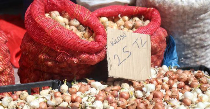 Soğanın tohumu da artık lüks!