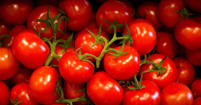 Ukrayna, Türkiye'den giden 38 ton domatesi geri gönderdi