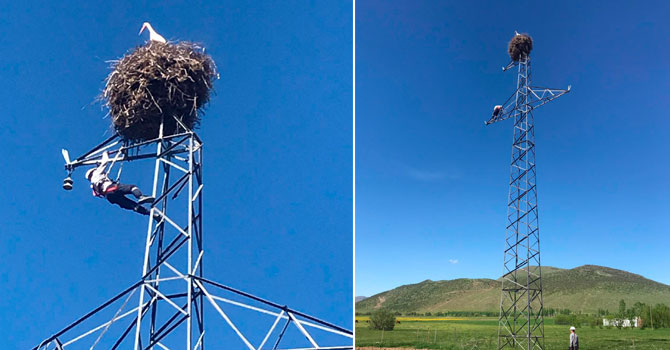 VEDAŞ doğal hayatı korumak için çalışmalarını erteledi!