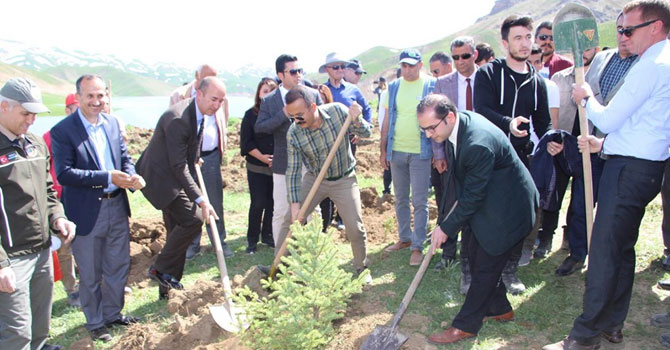 Denetimli serbestlik hükümlüleri, Dilimli Barajında fidan dikti