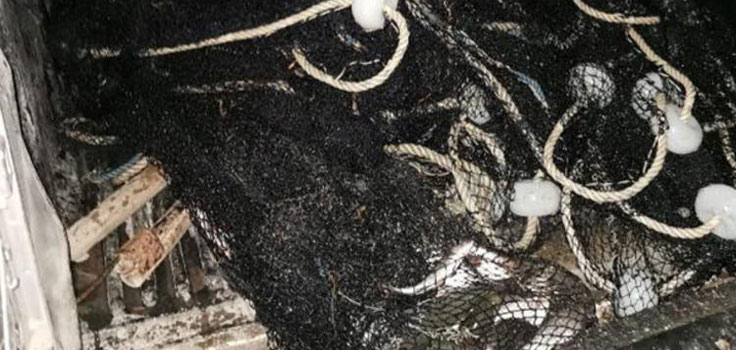 Van'da kaçak balık avlayan 6 kişiye 14 bin lira ceza