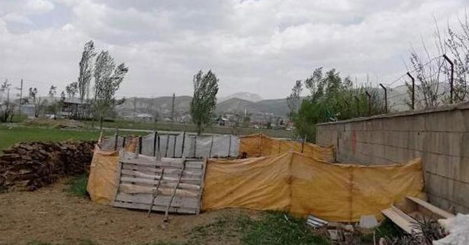 Yüksekova'da ağıla giren köpekler 18 küçükbaş hayvanı telef etti