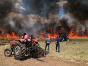 Buğday tarlası alev aldı: 70 dönümlük tarla kül oldu